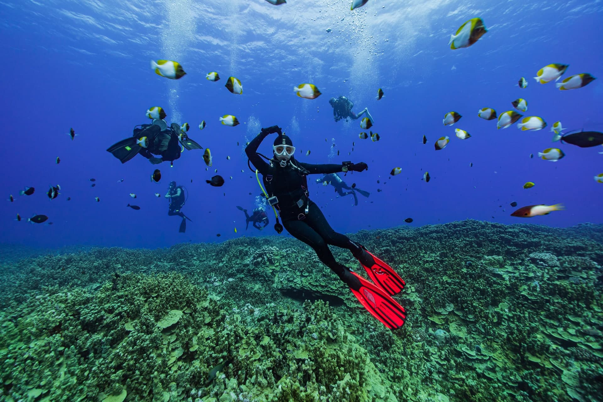 수강생 수영장 훈련