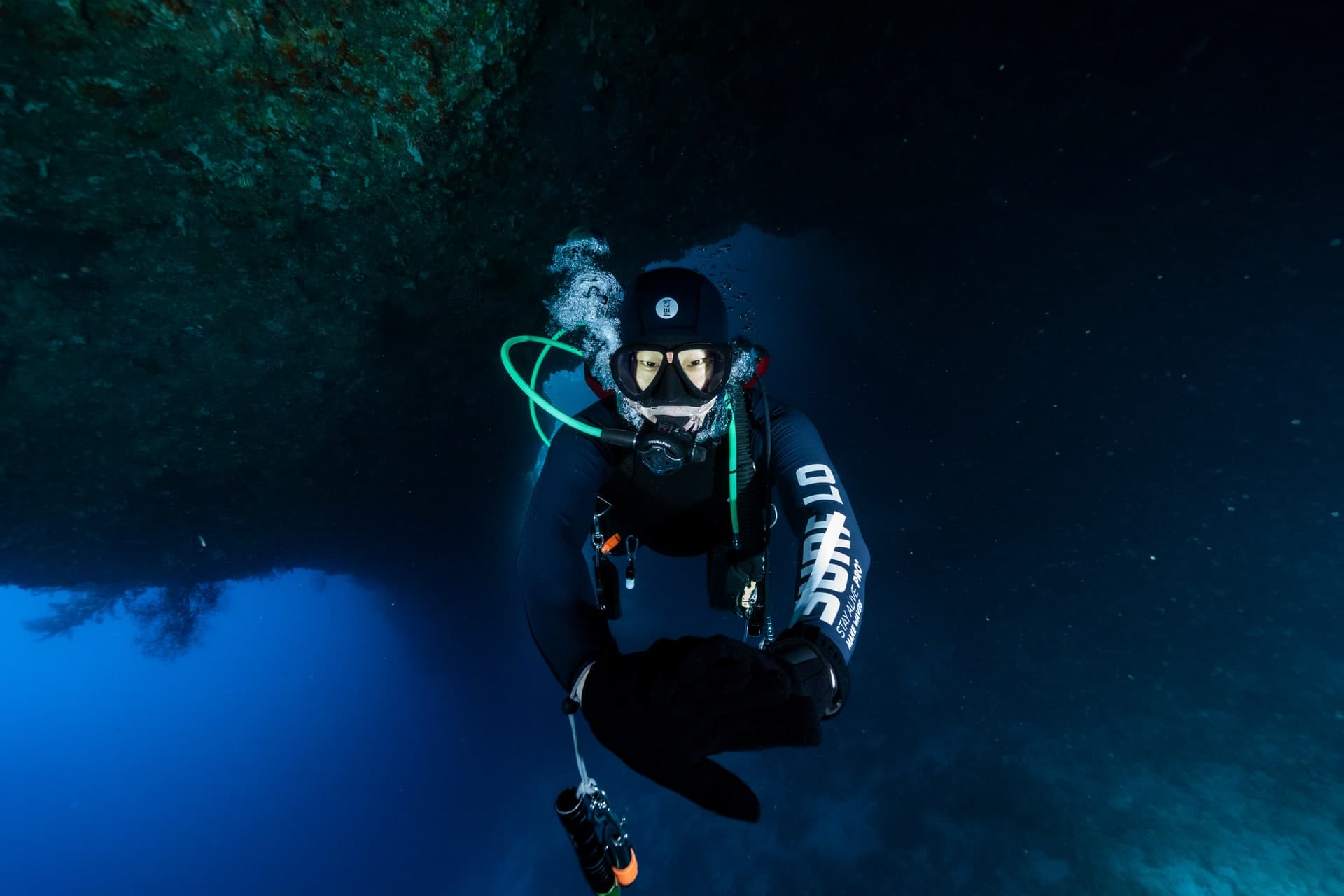 버디와의 우정 - 함께하는 다이빙