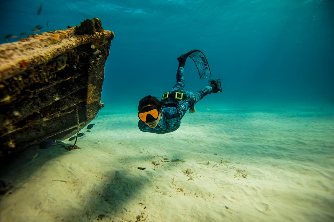 어드밴스드 프리다이버 - 고급 프리다이빙 기술