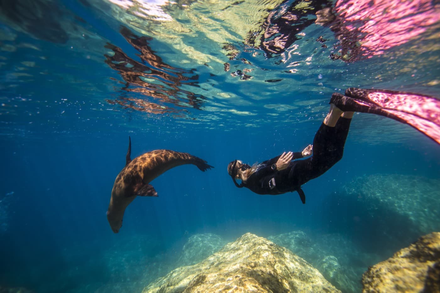프리다이버 레벨2 - 중급 프리다이빙 과정