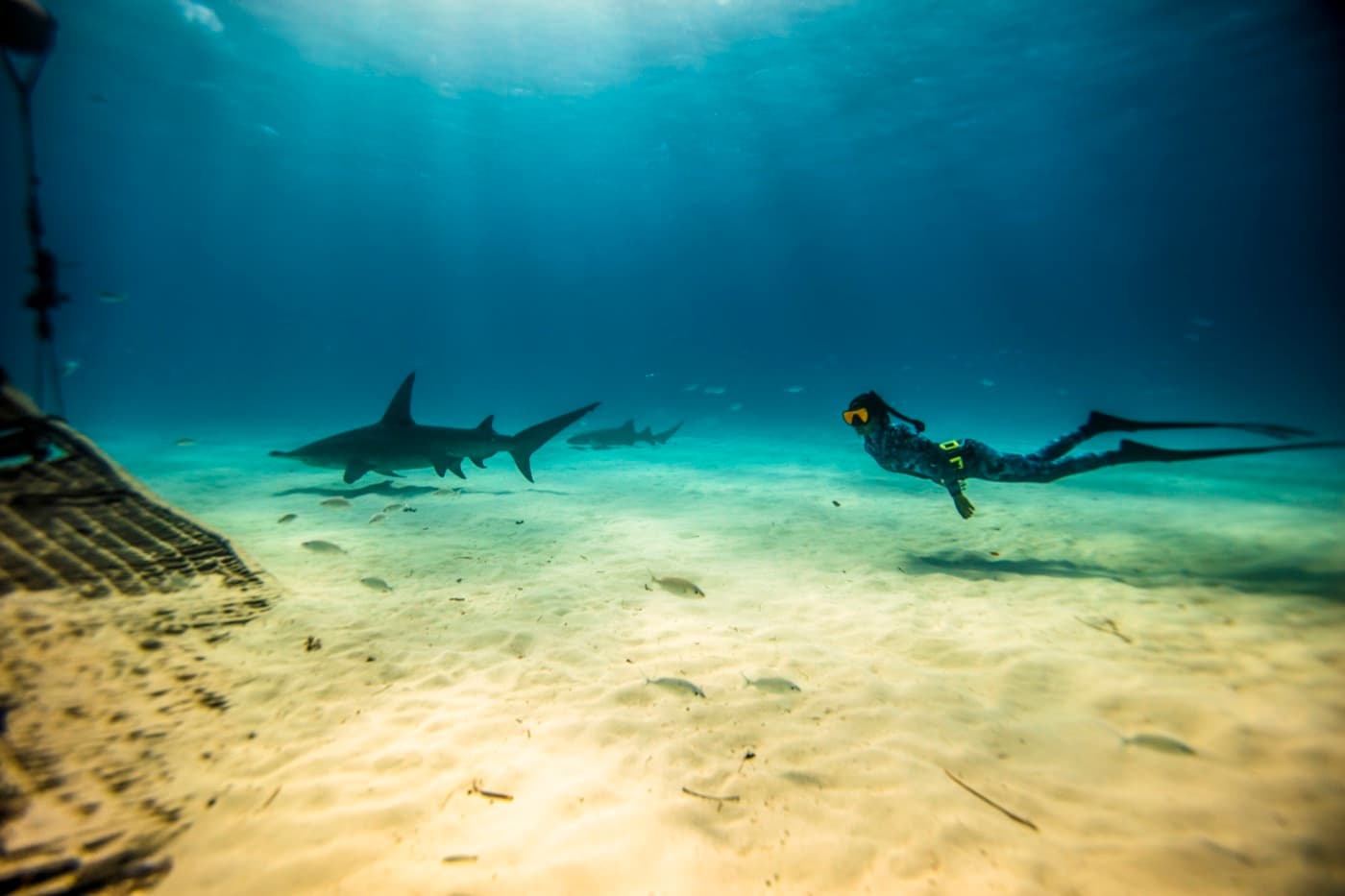 체험 프리다이빙 - 수영장 환경